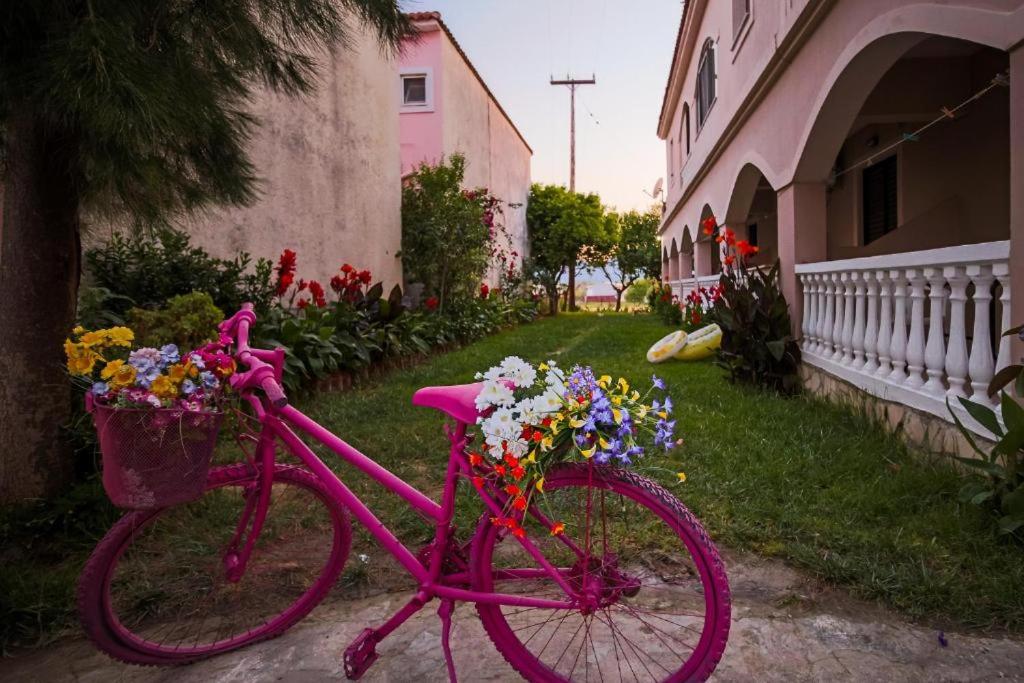 Zahrada ubytování Nadia Apartments A