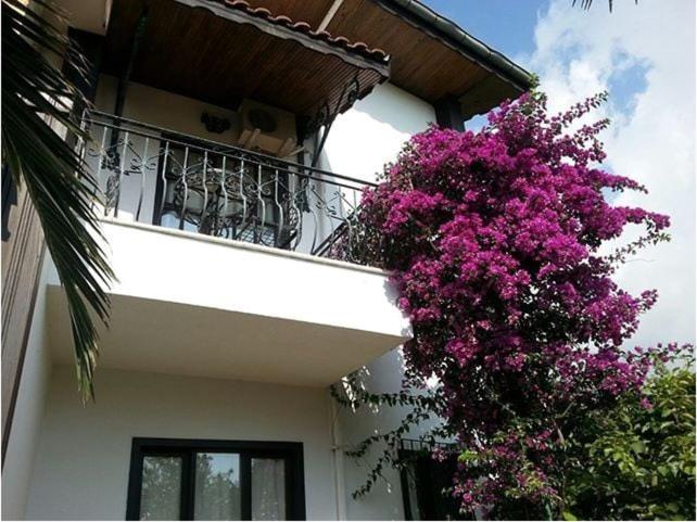 Hemerans Anatolia - 18