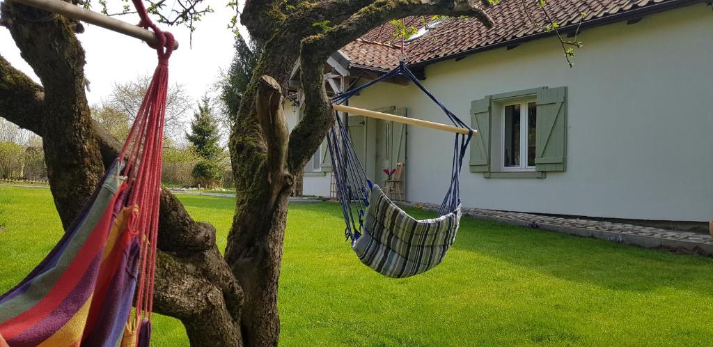 Vonkajšia záhrada v ubytovaní Dom na Warmii -Siedlisko Mozaika