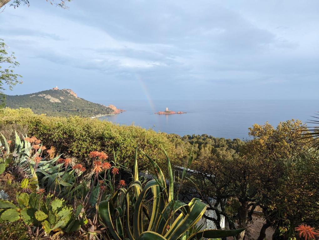 una vista del océano con un barco a lo lejos en CHALET STANDING Vue mer, en Saint-Raphaël