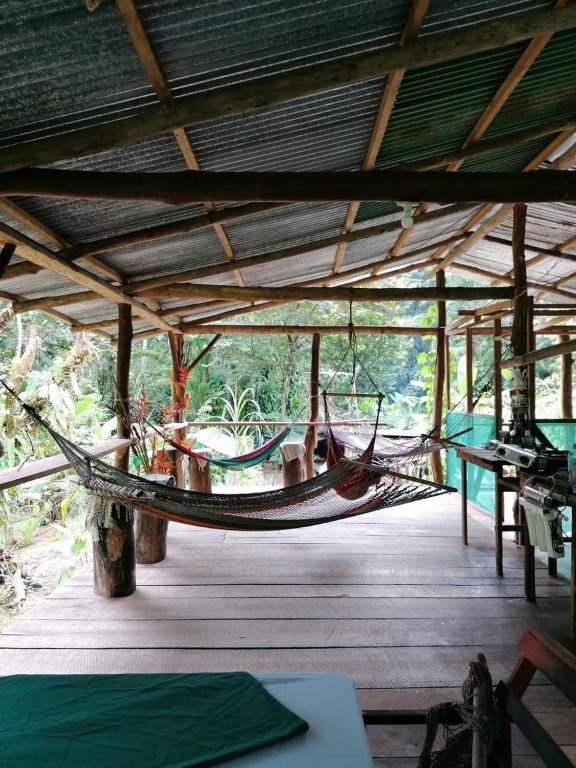 Rio Agujitas EcoFarm Hostel and Tours Rio Agujitas EcoFarm Hostel and Tours
