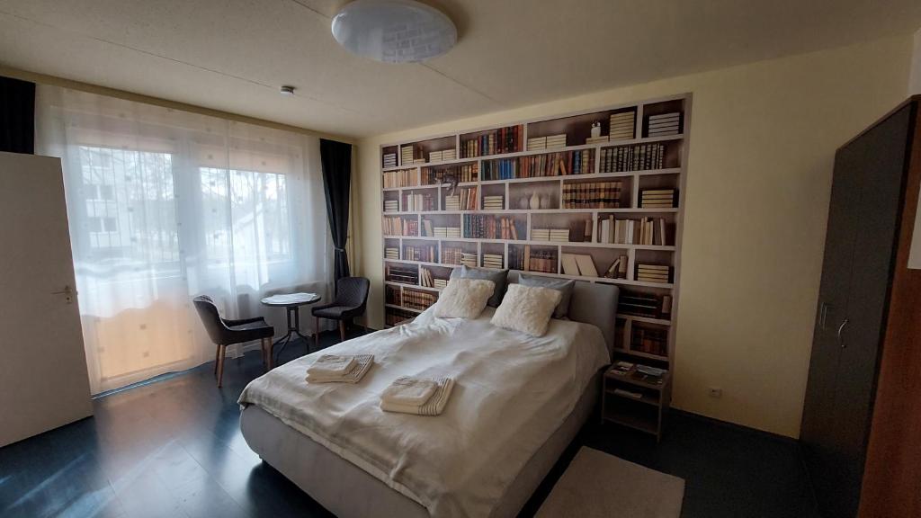 Szürke Macska Vendégszoba * * في ميشكولتْس: غرفة نوم مع سرير كبير مع رفوف كتب