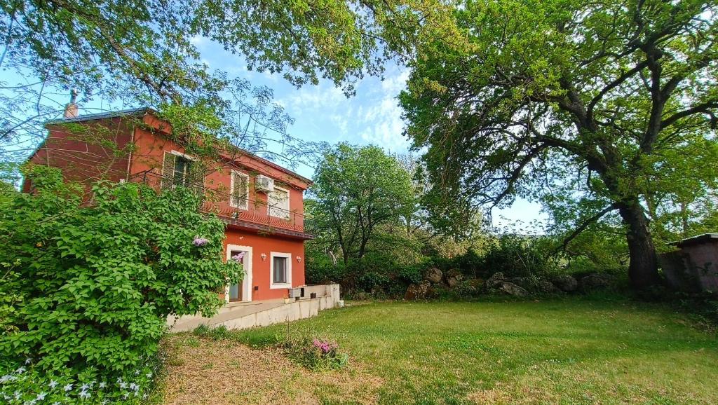 a red house in a field next to a tree at B&B Kikina in Austis