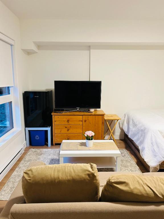 TV a/nebo společenská místnost v ubytování Victoria private studio suite