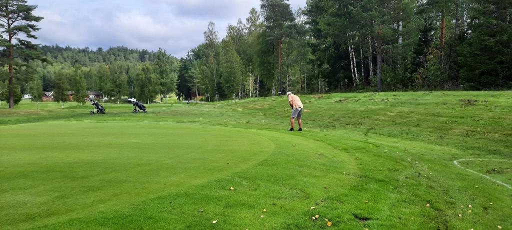 Golf v apartmánu nebo okolí