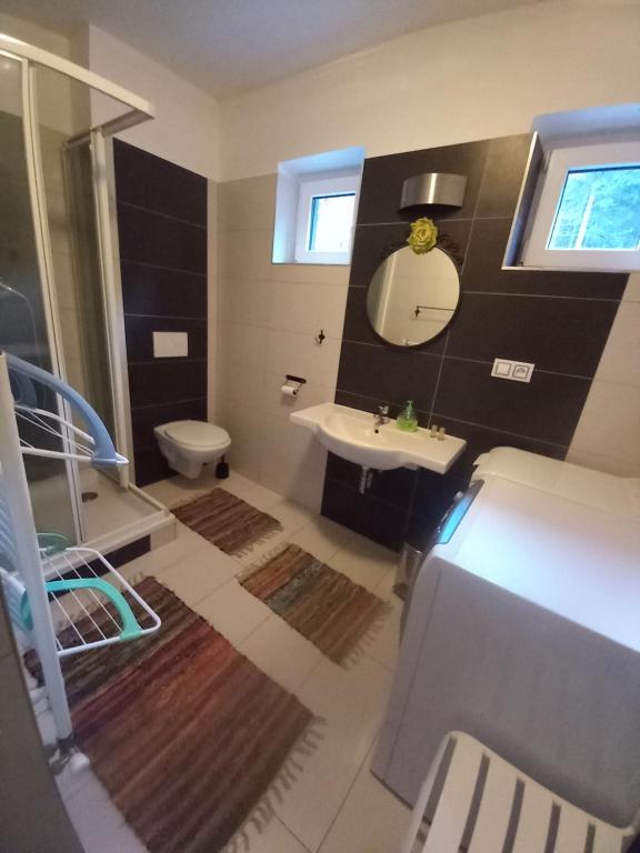 La salle de bains est pourvue d'un lavabo, de toilettes et d'un miroir. dans l'établissement APARTMÁNY za SNĚŽNÍKEM, à Dolní Morava