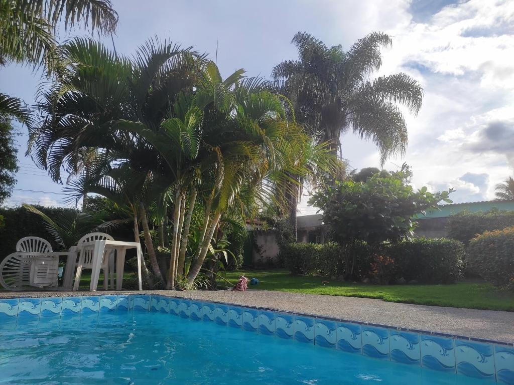 a swimming pool with palm trees in a yard at Casa do Sossego in Brasilia