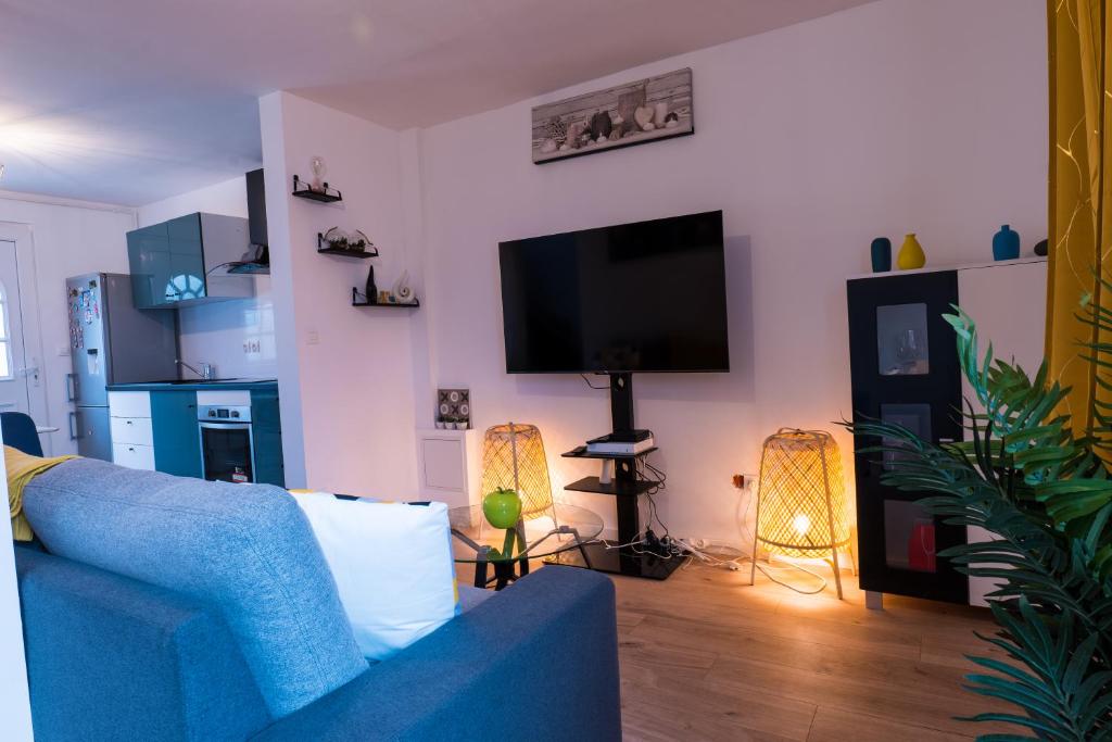 TV a/nebo společenská místnost v ubytování Chambre confortable à Rouen