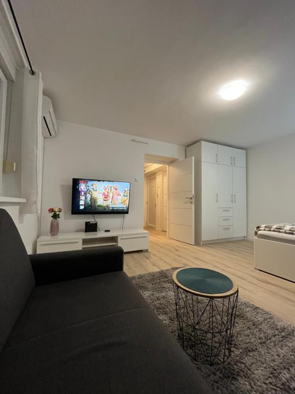 TV a/nebo společenská místnost v ubytování Apartment VBK Osijek