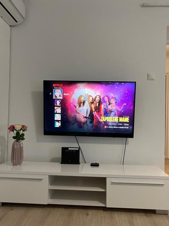 TV a/nebo společenská místnost v ubytování Apartment VBK Osijek