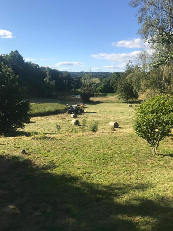 a field with some animals grazing in the grass at Une pause en Corrèze in Sarroux