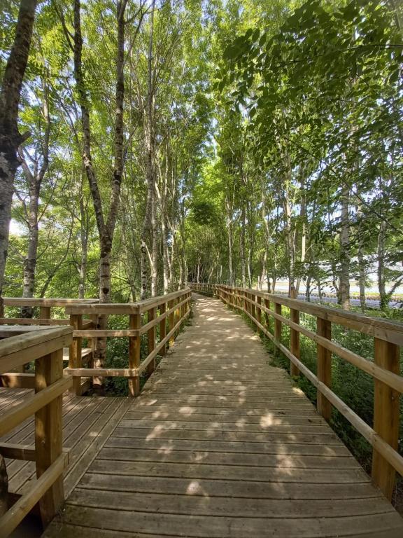 Paisagem natural perto do alojamento de turismo selvagem