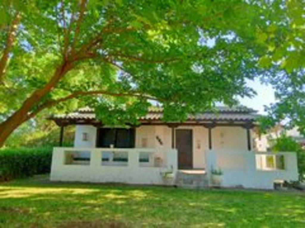 uma casa com uma grande árvore em frente em Kouvela Beach House em Paralia Rachon