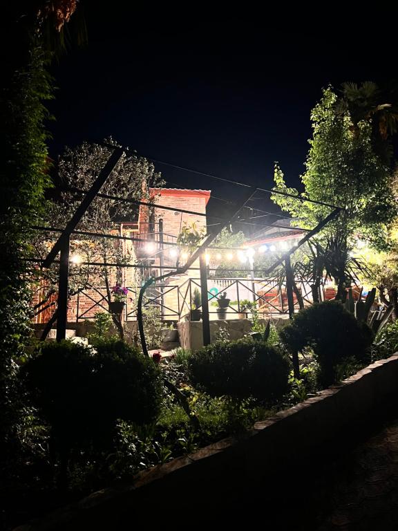 Zahrada ubytování Sunshine House