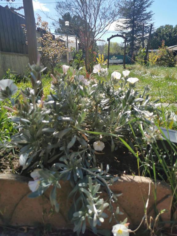 Ogród w obiekcie Dépendance cosy entre jardin et jacuzzi privés et piscine partagée