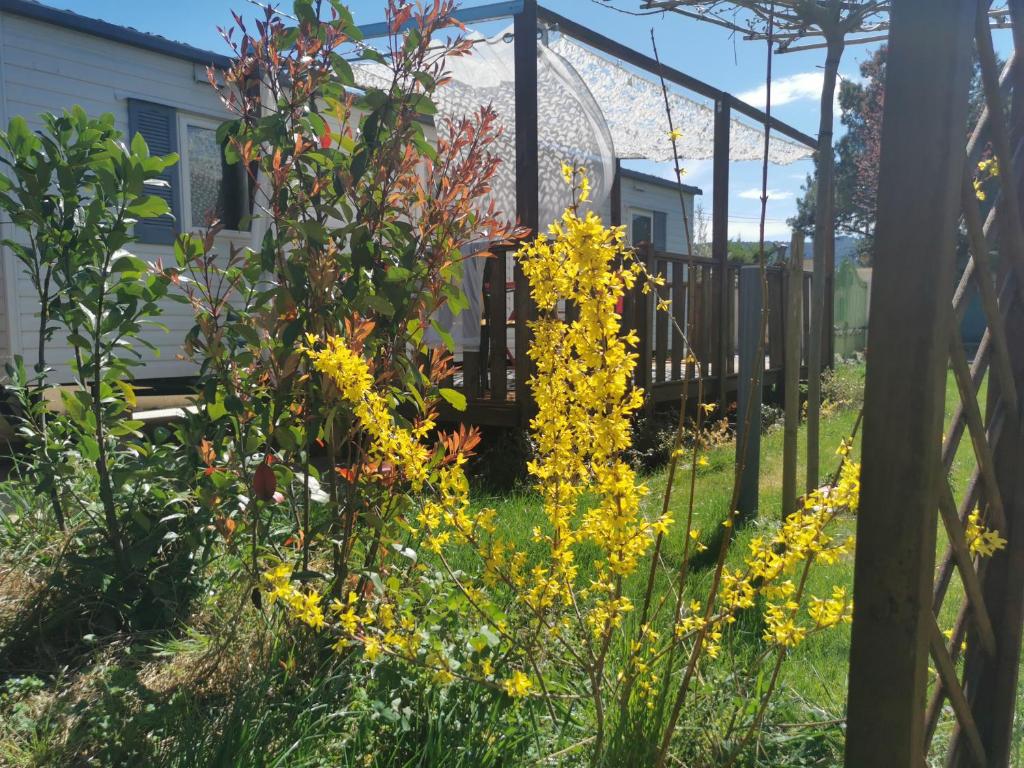 Ogród w obiekcie Dépendance cosy entre jardin et jacuzzi privés et piscine partagée