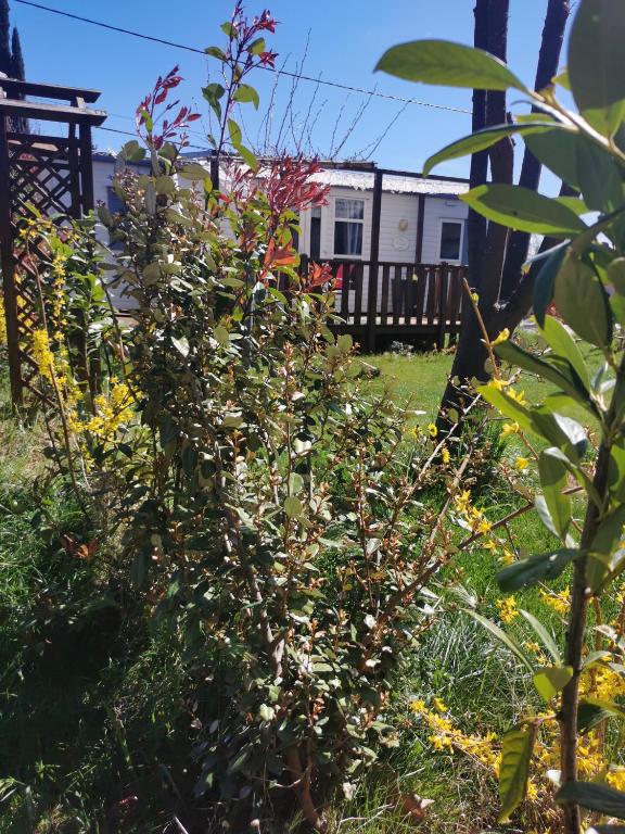 Ogród w obiekcie Dépendance cosy entre jardin et jacuzzi privés et piscine partagée