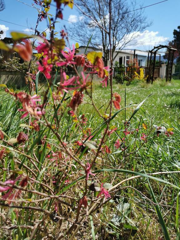 Ogród w obiekcie Dépendance cosy entre jardin et jacuzzi privés et piscine partagée