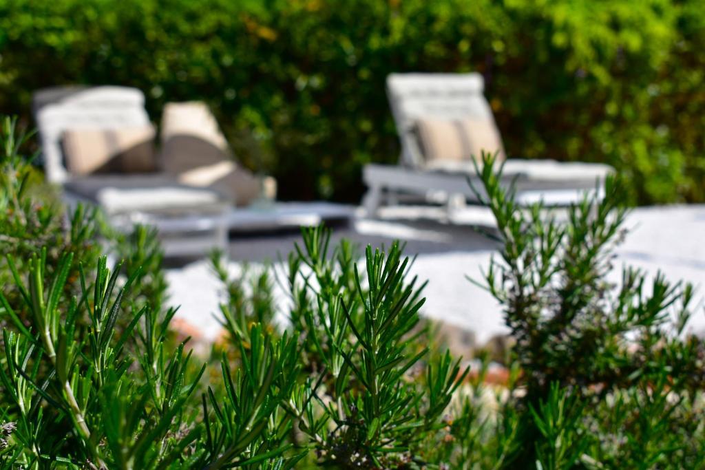 A garden outside Casa Gaia