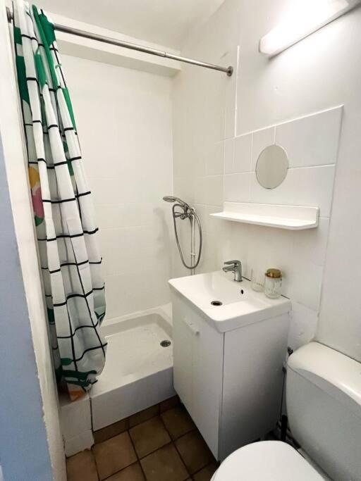 a bathroom with a sink and a toilet and a shower at Green Haven - Joli studio - Proche du Centre Ville in Caen