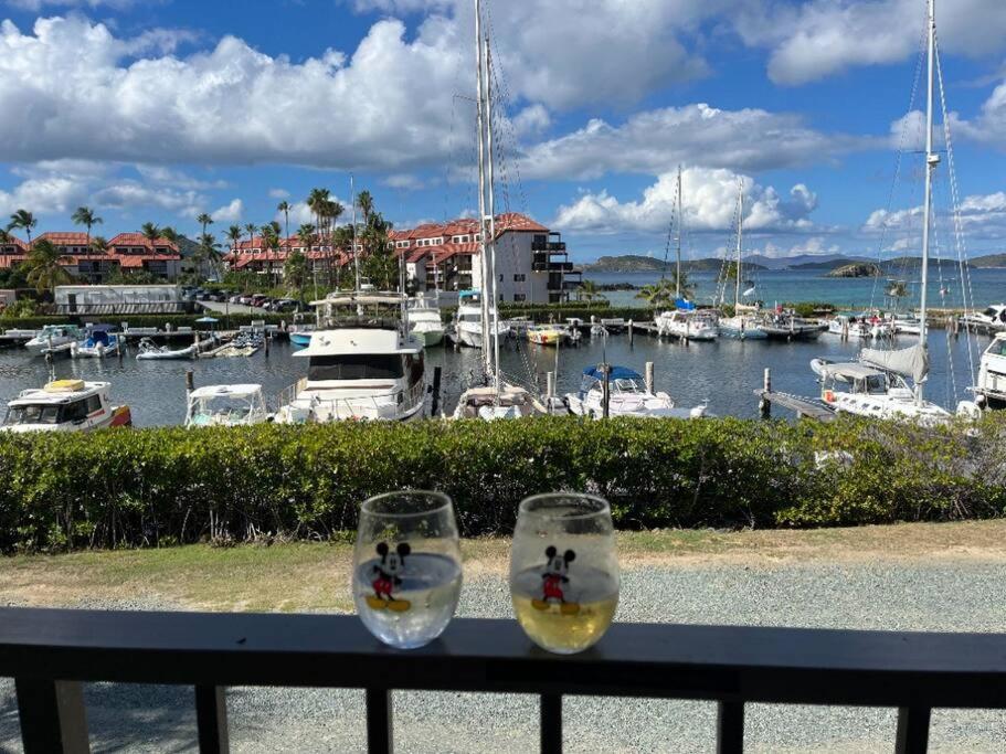 two wine glasses sitting on a railing overlooking a marina at Sapphire Dream in St Thomas