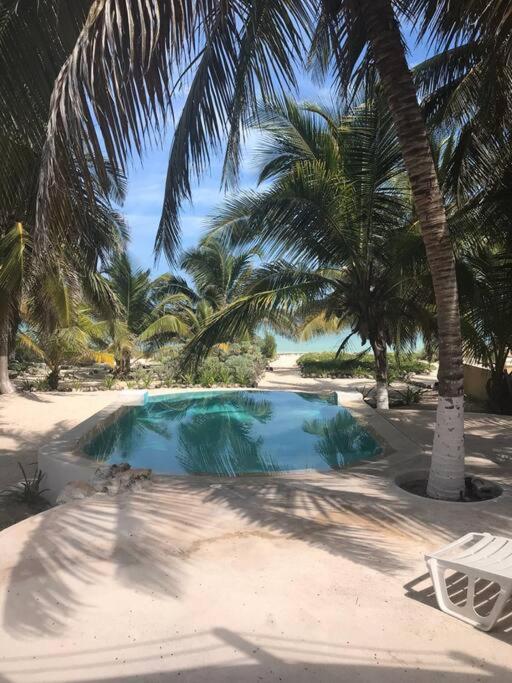 una piscina con palmeras y una silla en Private beach house beside the sea., en Chicxulub