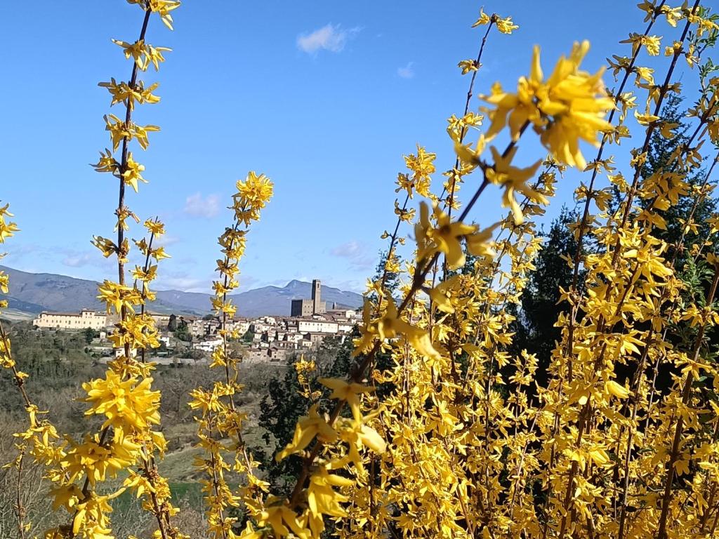 Γενική θέα στο βουνό ή θέα στο βουνό από  αυτό το διαμέρισμα
