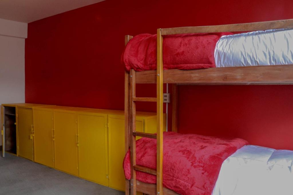 Lobo Hostel La Pazにあるベッド