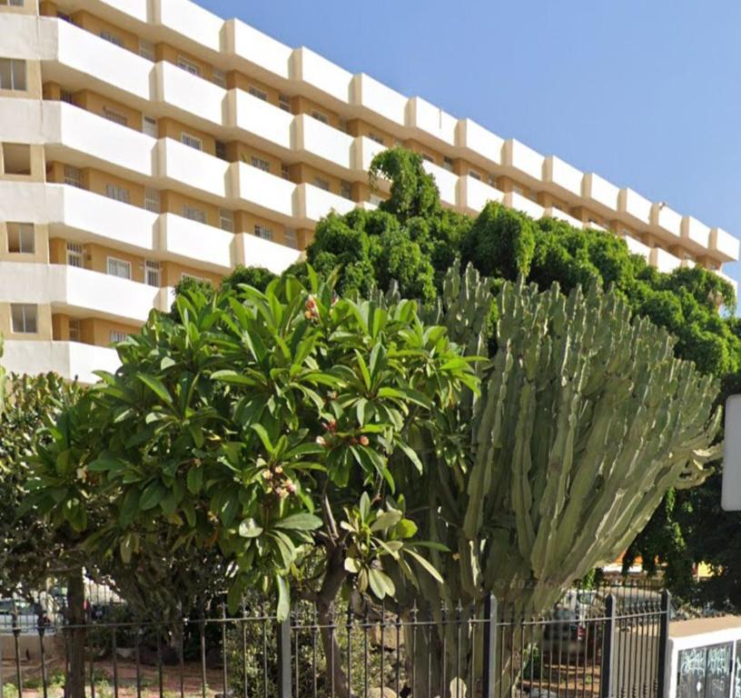 Zahrada ubytování Molinos holidays playa del inglés