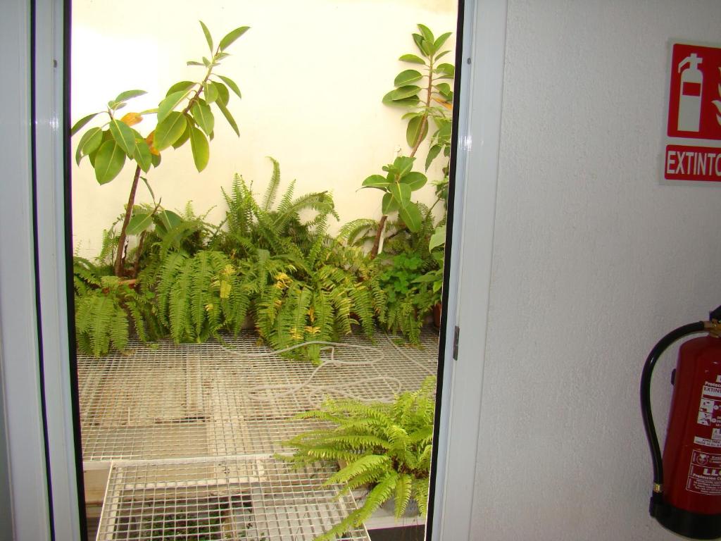 Zahrada ubytování Hostal Platja