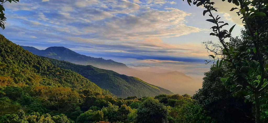 Un paisaje natural cerca del camping