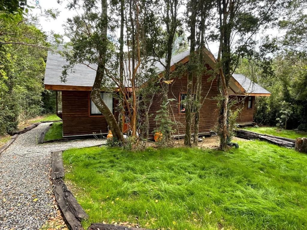 a log cabin in the middle of a yard with trees at Cabaña del bosque con estero in Curiñanco