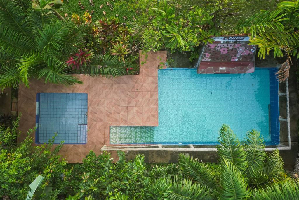 una vista aérea de una piscina rodeada de árboles en Iguanitas Lodge, en Pital