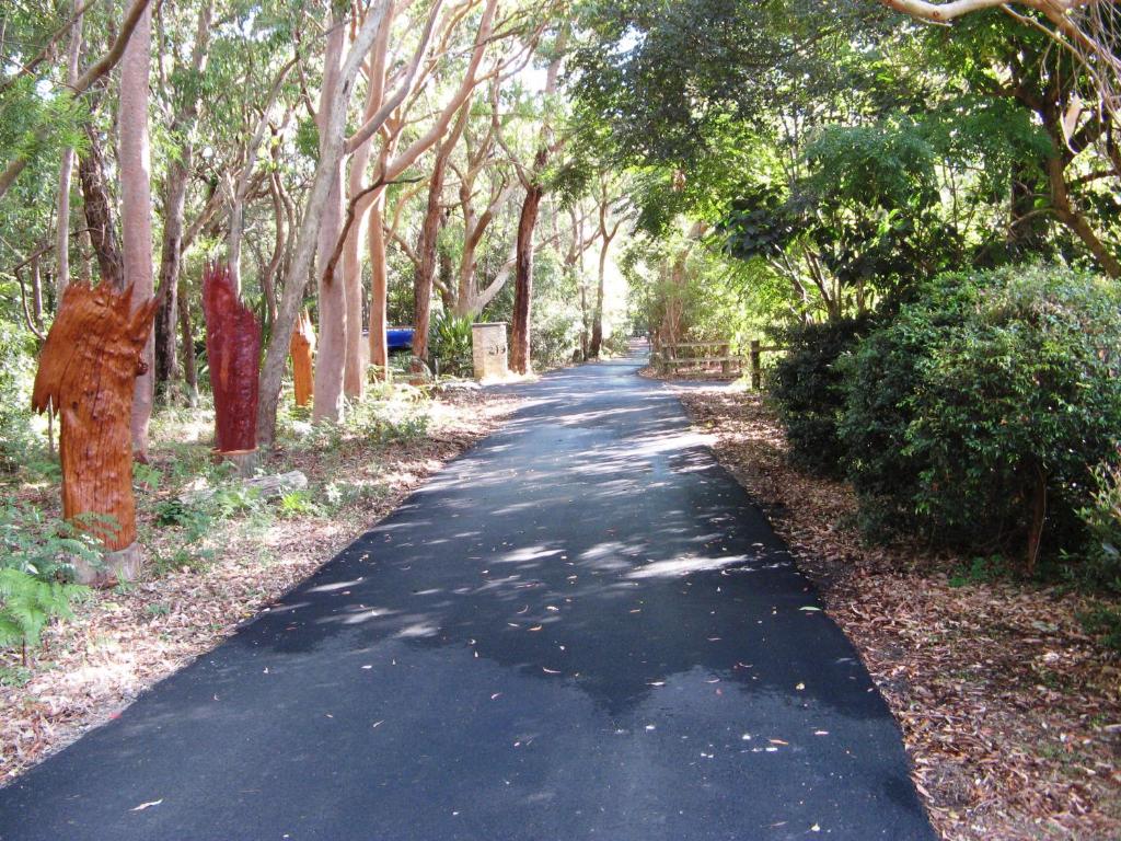 a long road with trees on both sides of it at Amberlyn Escapes in Killcare