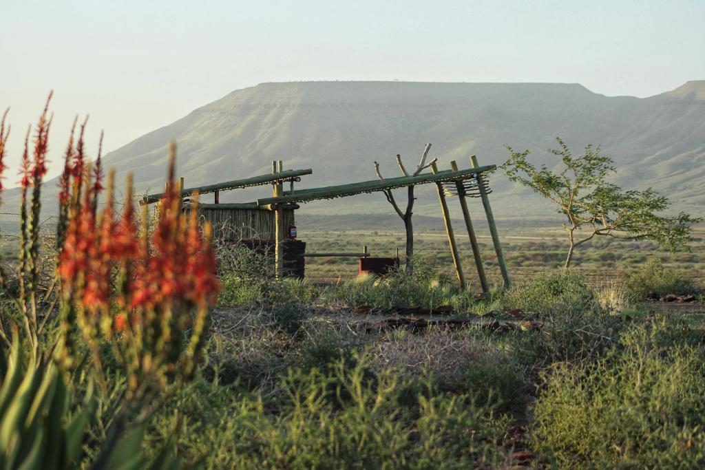 a wooden structure in a field with a mountain in the background at Mount D'Urban Campsite in Helmeringhausen