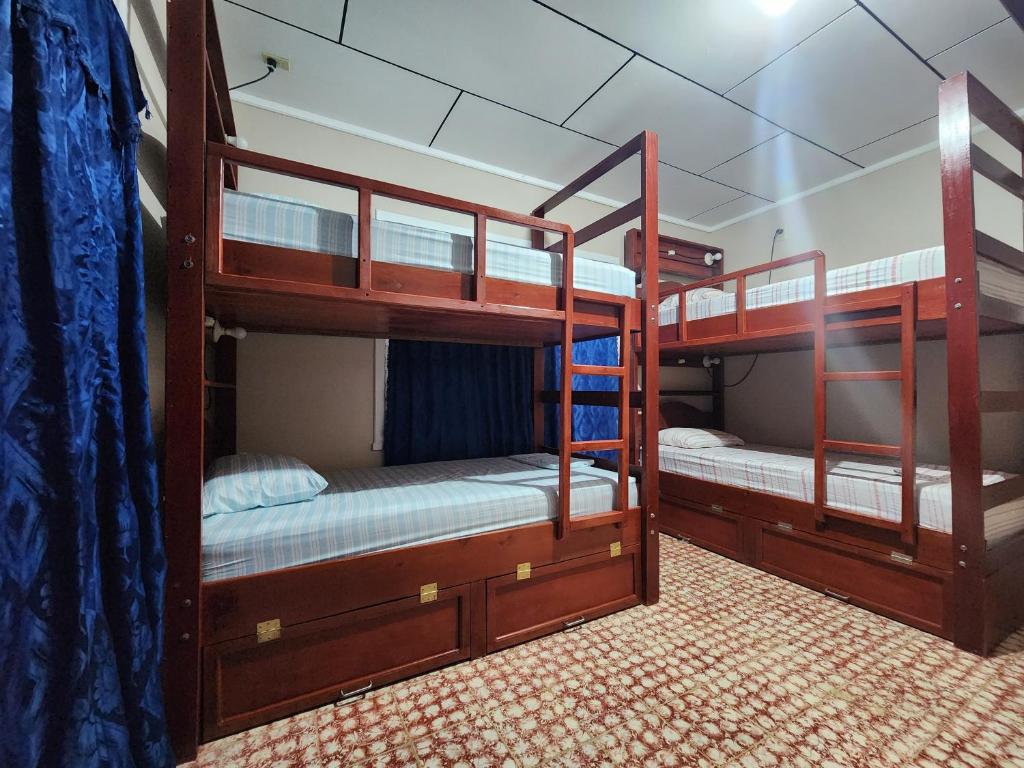 2 łóżka piętrowe znajdują się w pokoju z zapaleniem kręgosłupa, które polega na zapaleniu kręgosłupa w obiekcie Fenix Hotel & Hostel w mieście Utila