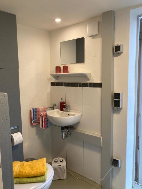 a small bathroom with a sink and a toilet at Gemütlicher Schäferwagen im Grünen-Schäferwagen 44 in Frielendorf
