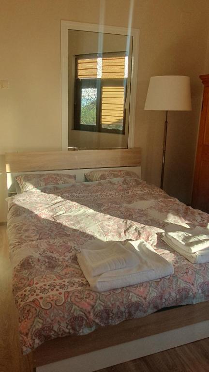 a bedroom with a bed with a mirror and a lamp at Допълнителна къща за гости Ози 1 in Ovchartsi