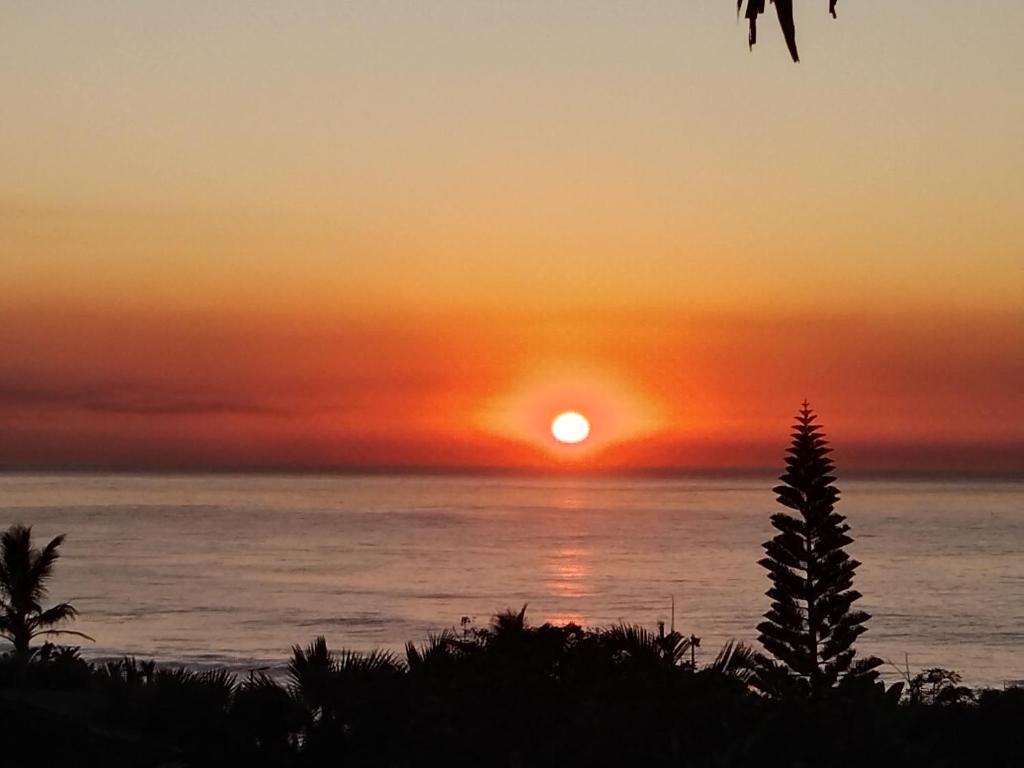 un coucher de soleil sur l'océan avec un arbre au premier plan dans l'établissement Jacobs Cottage by the Ocean, à Port Shepstone