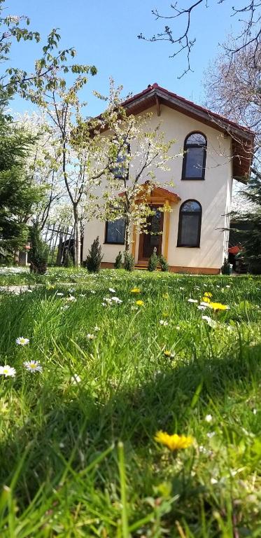 Jardí fora de TINY CABIN