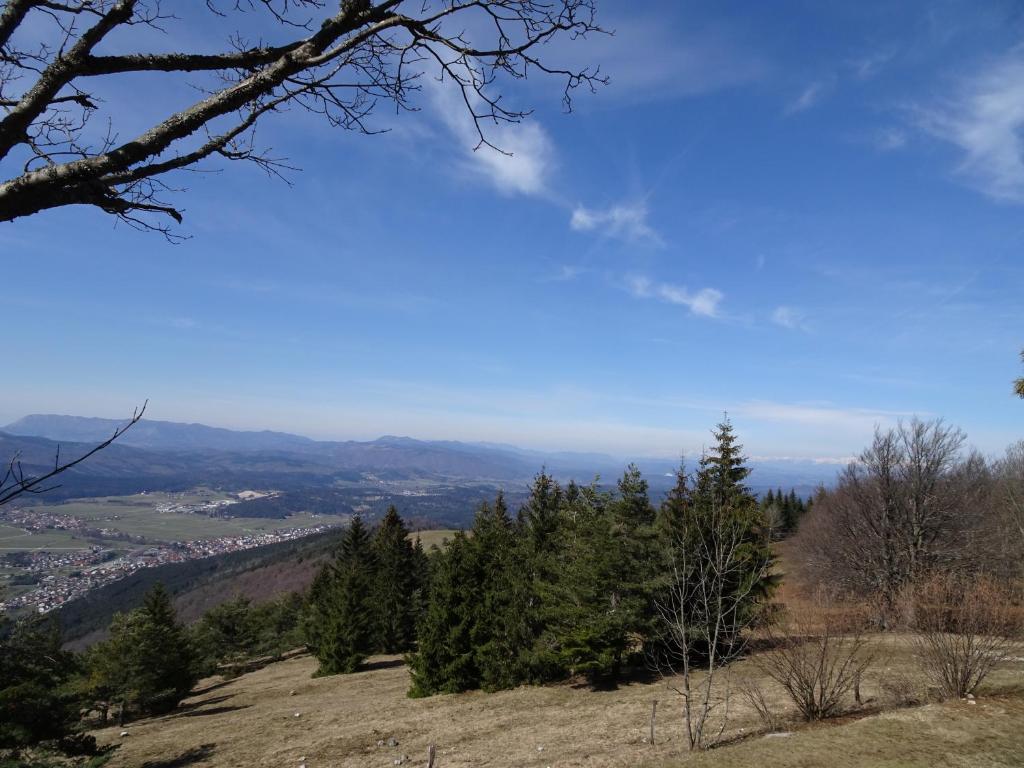 Příroda nedaleko apartmánu