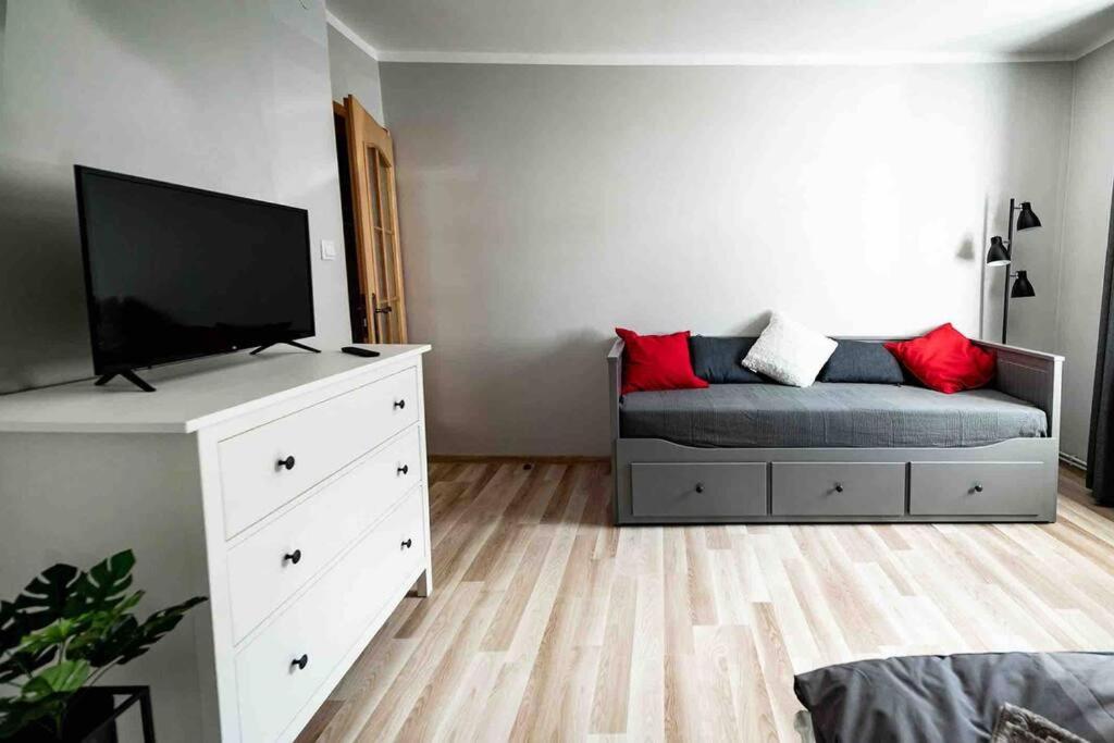 Il comprend un salon doté d'un canapé et d'une télévision à écran plat. dans l'établissement Apartament quattro, Duszniki-Zdrój, à Duszniki-Zdrój