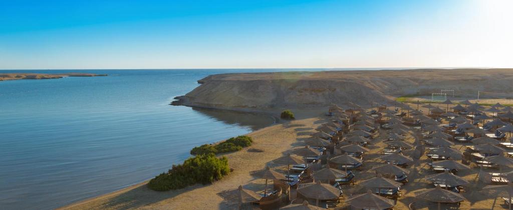 eine Gruppe von Sonnenschirmen an einem Strand neben dem Wasser in der Unterkunft Aurora Bay Resort Marsa Alam in Marsa Alam City