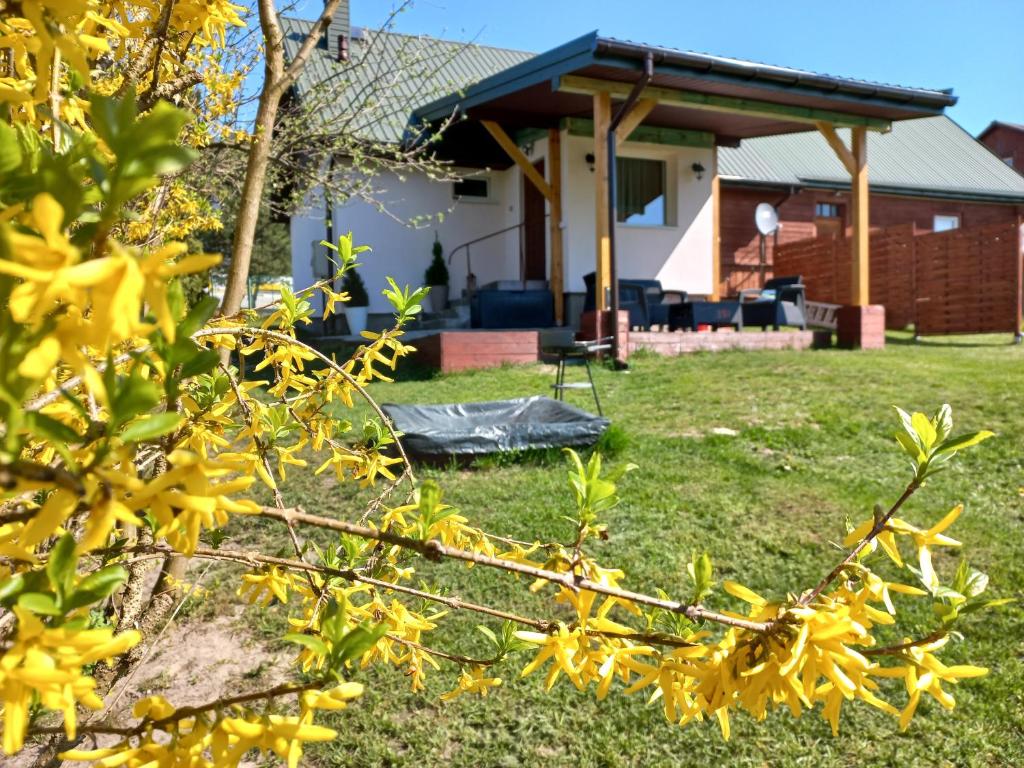 a house with yellow flowers in the yard at Domek u Jadzi in Zwierzyniec