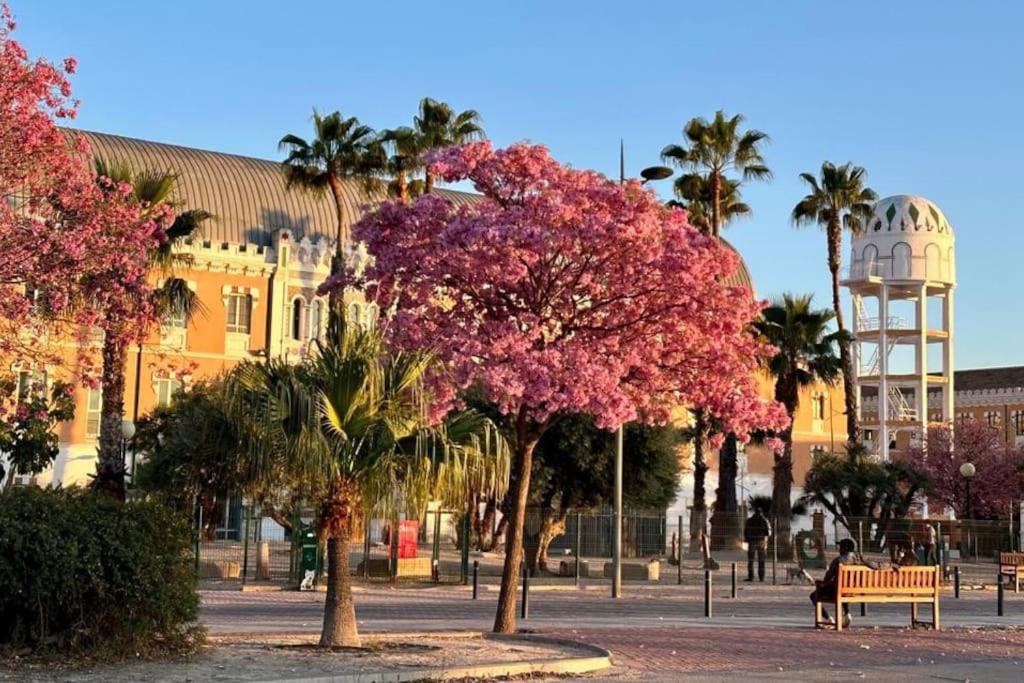 a person sitting on a bench in a park with pink trees at Apartamento Jacaranda in Murcia