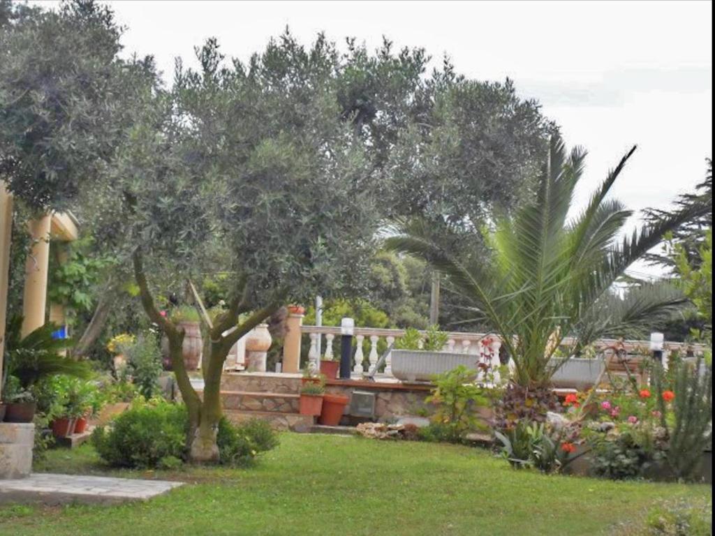 Fotografie z fotogalerie ubytování Moya v destinaci Begur