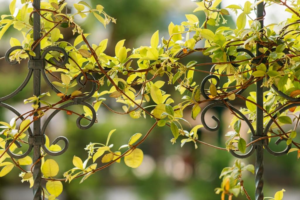 Circle Inn - Resim 33