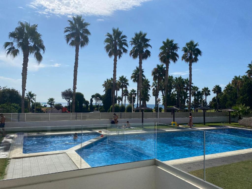 une piscine avec des palmiers en arrière-plan dans l'établissement Apartamento Marina D'Or 1º línea Edificio Mondrian, à Oropesa del Mar