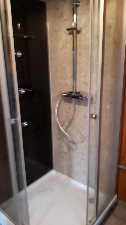 y baño con ducha y puerta de cristal. en Waldhaus Wiesengrund en Schwielochsee