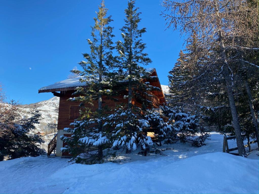 a cabin with a snow covered tree in front of it at Le refuge, chalet au pied des pistes au Sauze in Enchastrayes